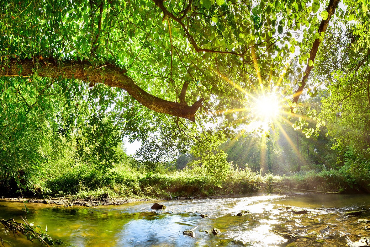 Ein Bachlauf im Sonnenschein